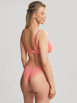 Cleo Alexis Plunge Bra 11 Cleo Alexis Plunge Bra -Chantelle Sales Store 10471AlexisBalconnetBra10472BrazilianBriefSunkissCoralBackEdit 965aaab1 7655 4298 953f 283ad303dfc6