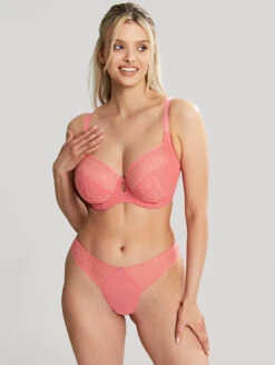 Cleo Alexis Plunge Bra 10 Cleo Alexis Plunge Bra -Chantelle Sales Store 10471AlexisBalconnetBra10472BrazilianBriefSunkissCoralFrontEdit 07c0f20d 7e77 4070 a13a 47952440e29f