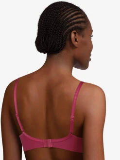 Passionata Dream Today Push-Up Bra 5 Passionata Dream Today Push-Up Bra -Chantelle Sales Store 40H2PushUpBraRubyPinkBack