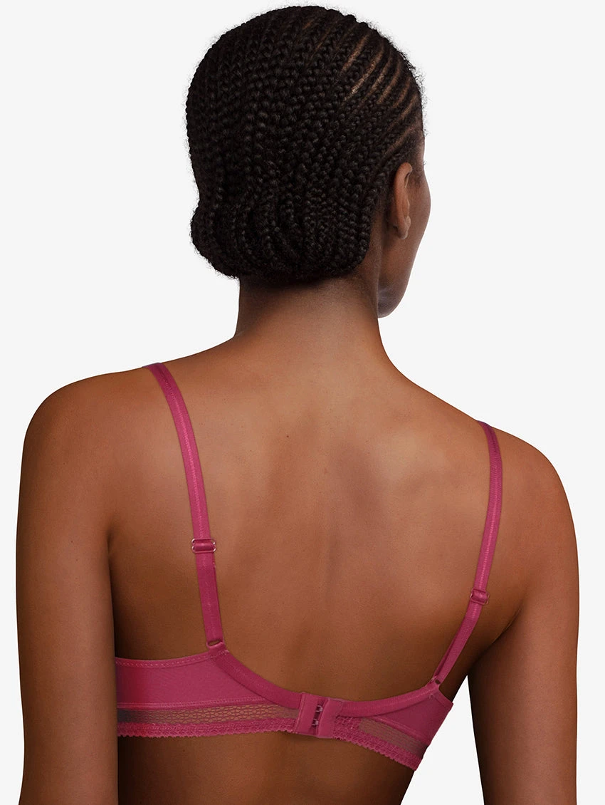 Passionata Dream Today T-Shirt Bra 2 Passionata Dream Today T-Shirt Bra - Image 2