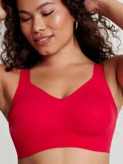 Evelyn & Bobbie Beyond Bra 9 Evelyn & Bobbie Beyond Bra -Chantelle Sales Store BeyondBraRubyFront2