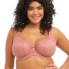 Elomi Brianna Padded Half Cup Bra