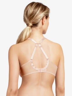 Chantelle Chic Essential T-Shirt Bra 11 Chantelle Chic Essential T-Shirt Bra -Chantelle Sales Store C16G7Tshirtbrabackjhook2