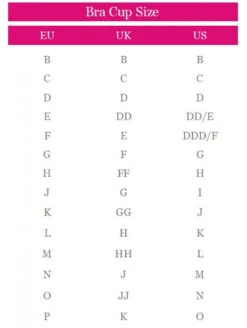 Chantelle Allure Plunge Bra 7 Chantelle Allure Plunge Bra -Chantelle Sales Store Chantelle Allure Plunge Bra S 4