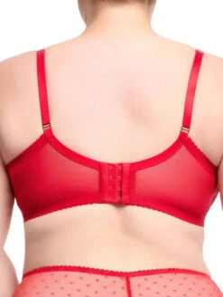 Dita Von Teese Fiamma Full Figure Bra 5 Dita Von Teese Fiamma Full Figure Bra -Chantelle Sales Store DitaVonTeeseFiammaFullFigureBraD99021RoseRedBack
