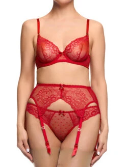 Dita Von Teese Fiamma Bra -Chantelle Sales Store DitaVonTeeseFiammaRoseRedUnderwireBraD59021SuspendersD46021BikiniD22021