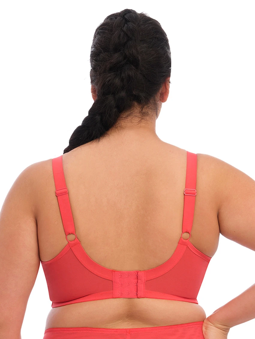 Elomi Brianna Strappy Plunge Bra 2 Elomi Brianna Strappy Plunge Bra - Image 2