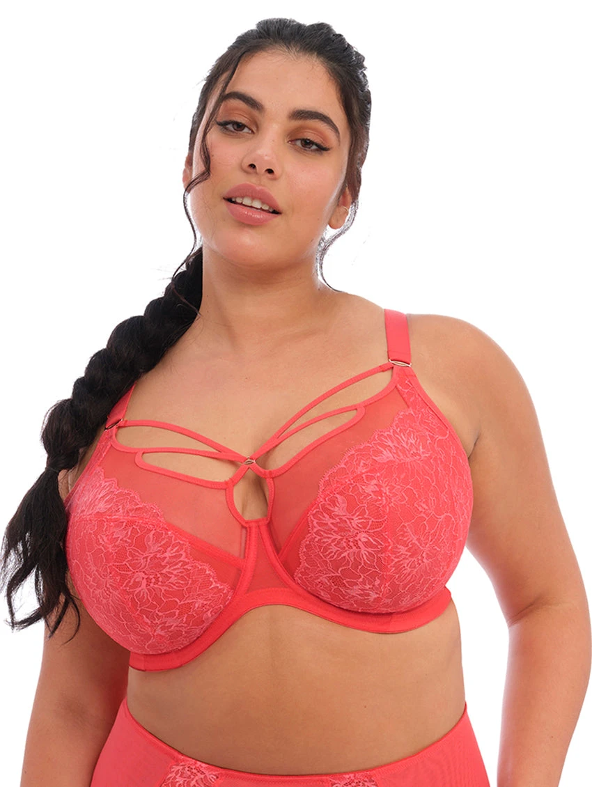 Elomi Brianna Strappy Plunge Bra 1 Elomi Brianna Strappy Plunge Bra