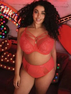 Elomi Brianna Strappy Plunge Bra 5 Elomi Brianna Strappy Plunge Bra -Chantelle Sales Store ElomiBriannaPlungeBraEL8080FullBriefEL8085CayenneFront