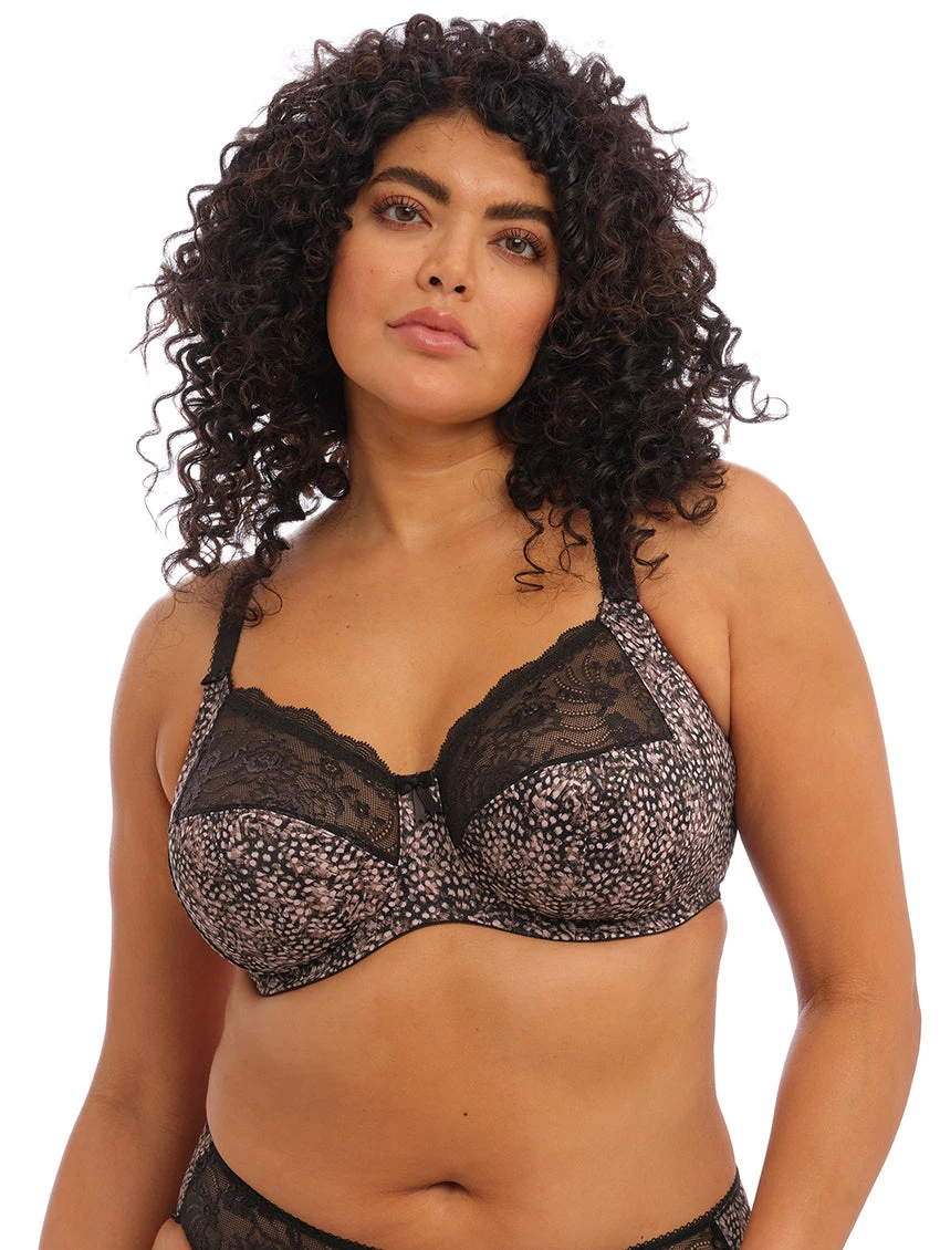 Elomi Morgan Bra 4 Elomi Morgan Bra - Image 4