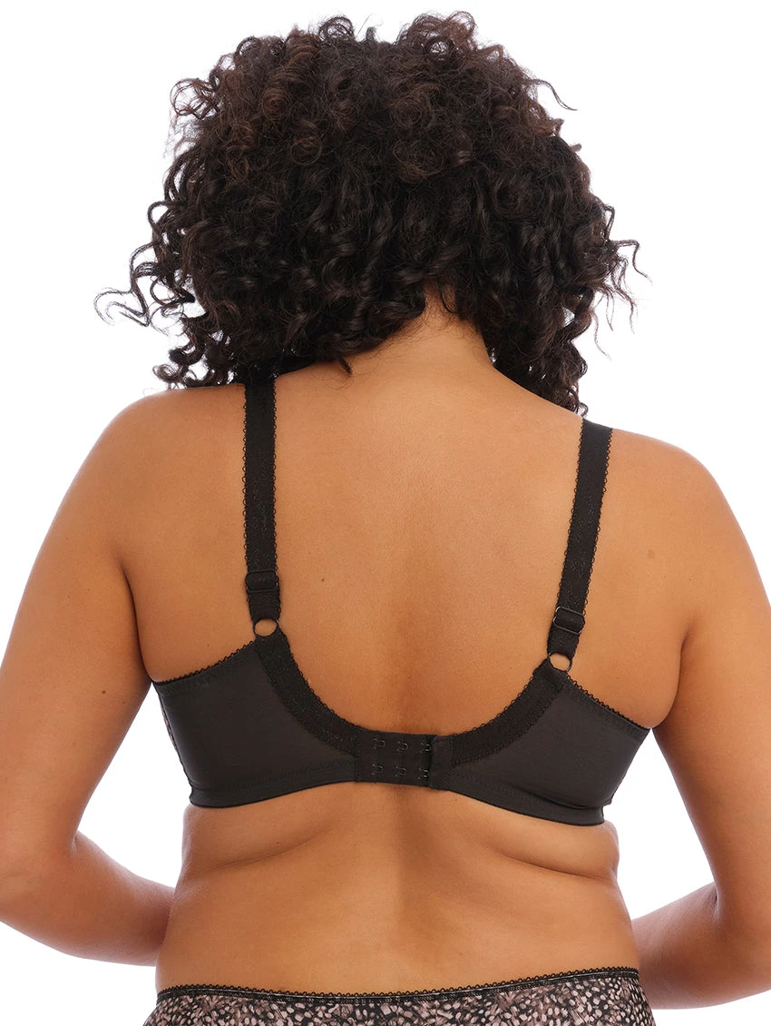 Elomi Morgan Bra 5 Elomi Morgan Bra - Image 5