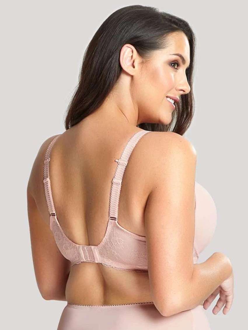 Sculptresse Sasha Bra 2 Sculptresse Sasha Bra - Image 2