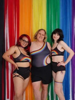 Mapale Asymmetrical Pride Bodysuit 16 Mapale Asymmetrical Pride Bodysuit -Chantelle Sales Store pridecollectionfull